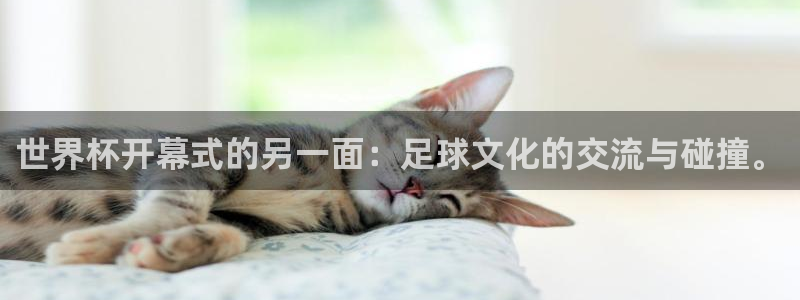 免费看足球直播比赛：世界杯开幕式的另一面：足球文化的交流与碰撞。
