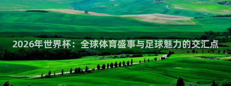 世界杯预选赛赛程：2026年世界杯：全球体育盛事与足球魅力的交汇点