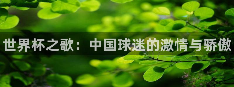 今年世界杯:世界杯之歌:中国球迷的激情与骄傲