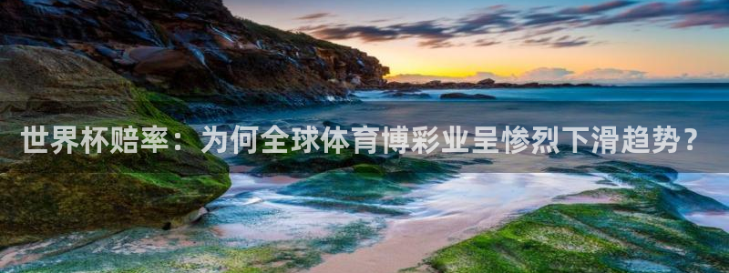2026世界杯对阵图:世界杯赔率:为何全球体育博彩业呈惨烈下滑趋势?