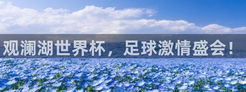 2006世界杯:观澜湖世界杯,足球激情盛会!