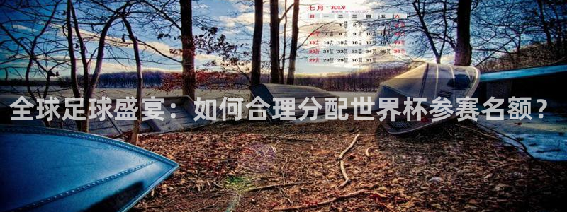 足球世界杯赛程:全球足球盛宴:如何合理分配世界杯参赛名额?