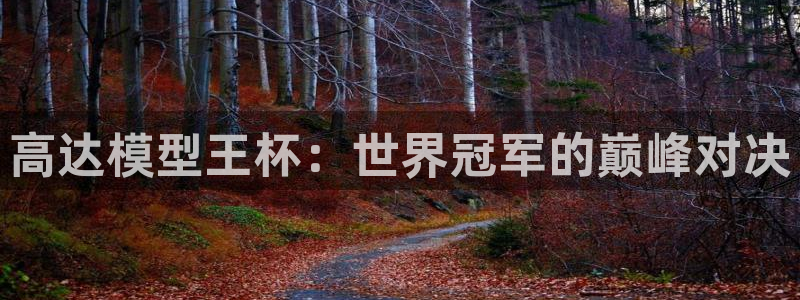 2026世界杯赛程表完整版：高达模型王杯：世界冠军的巅峰对决